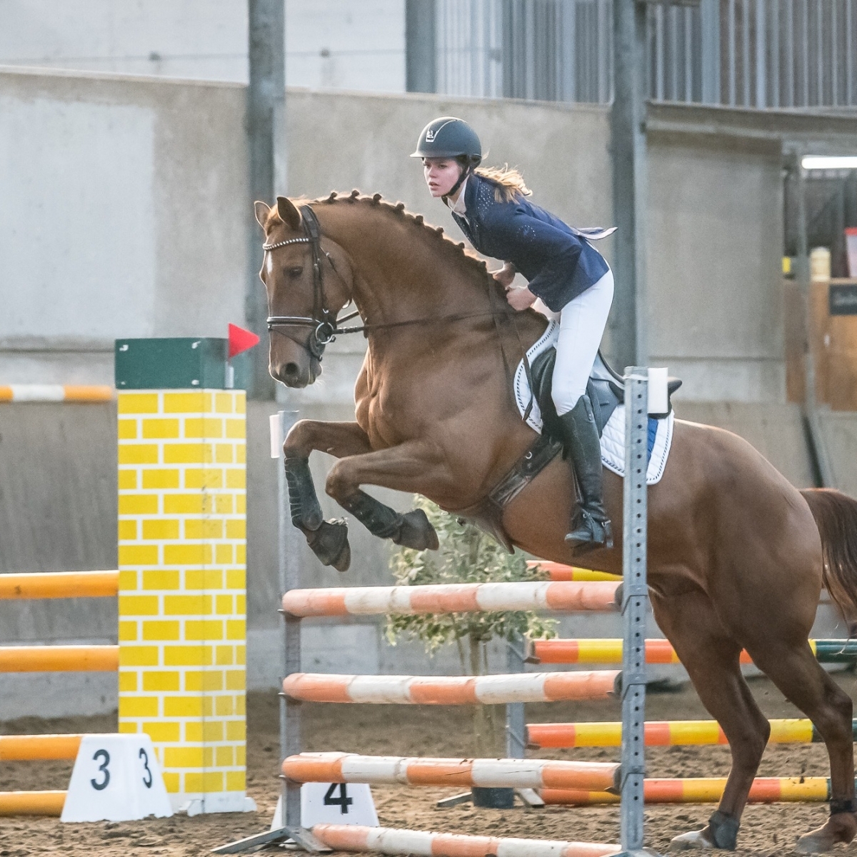 Springwedstrijd – Zonnehoeve – 17-11-2019 Springwedstrijd – Zonnehoeve – 17-11-2019
